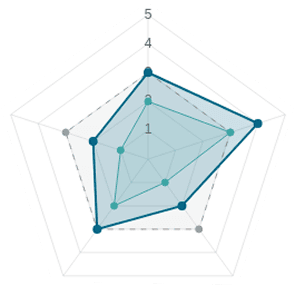 Scoring radar chart